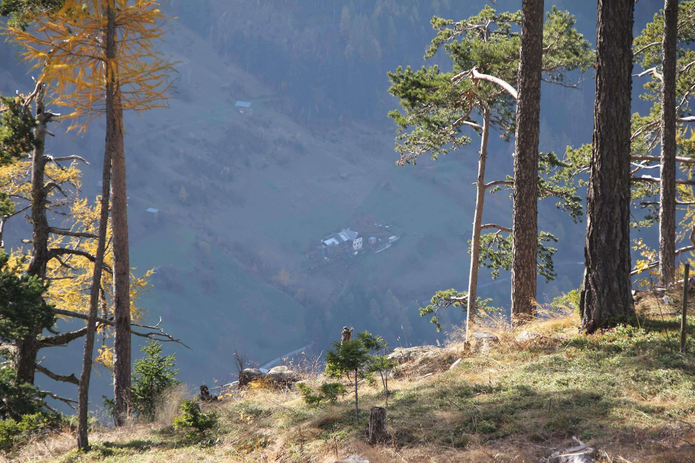 Blick vom Kaunergrat