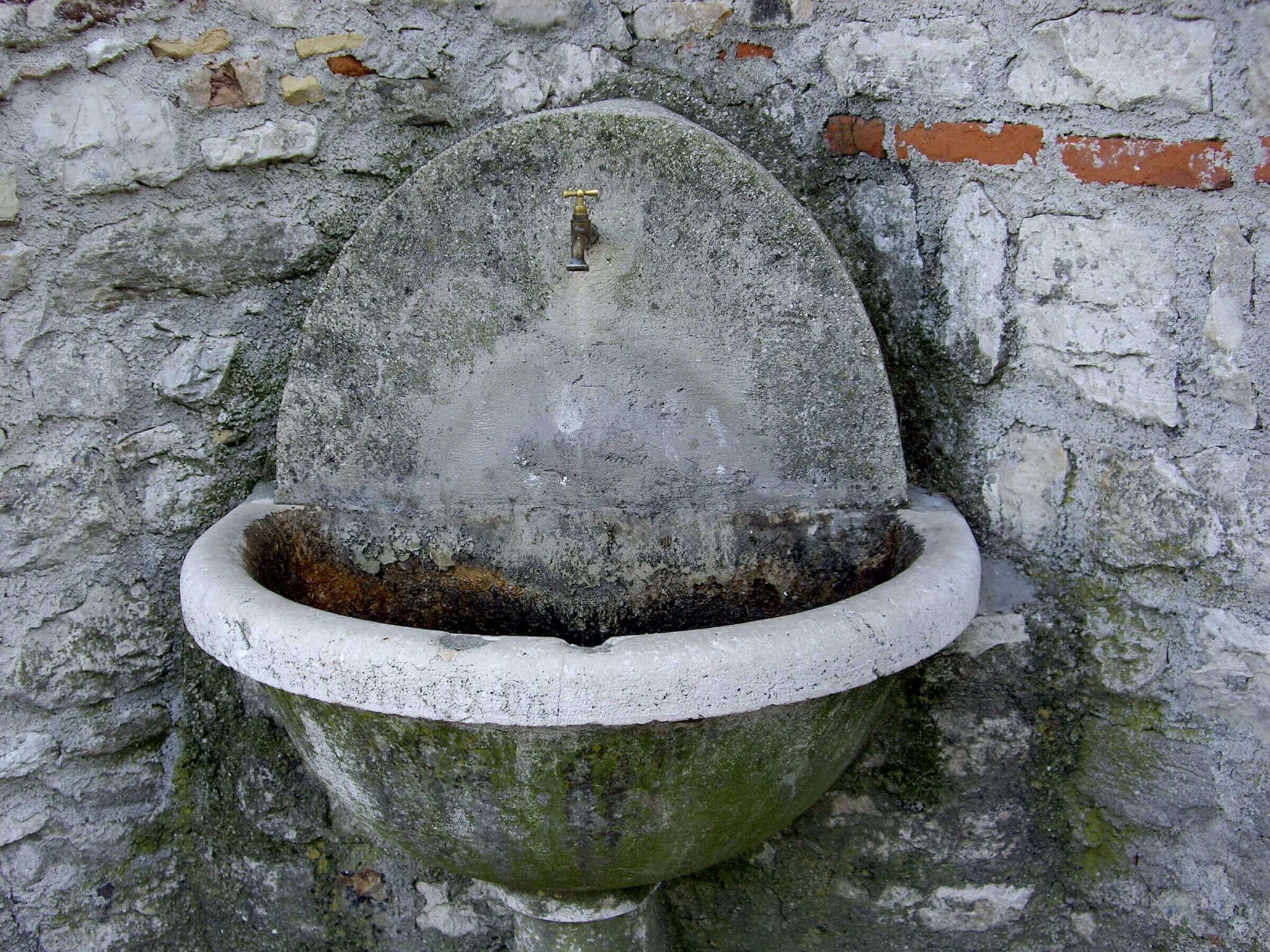 IMGP0108
