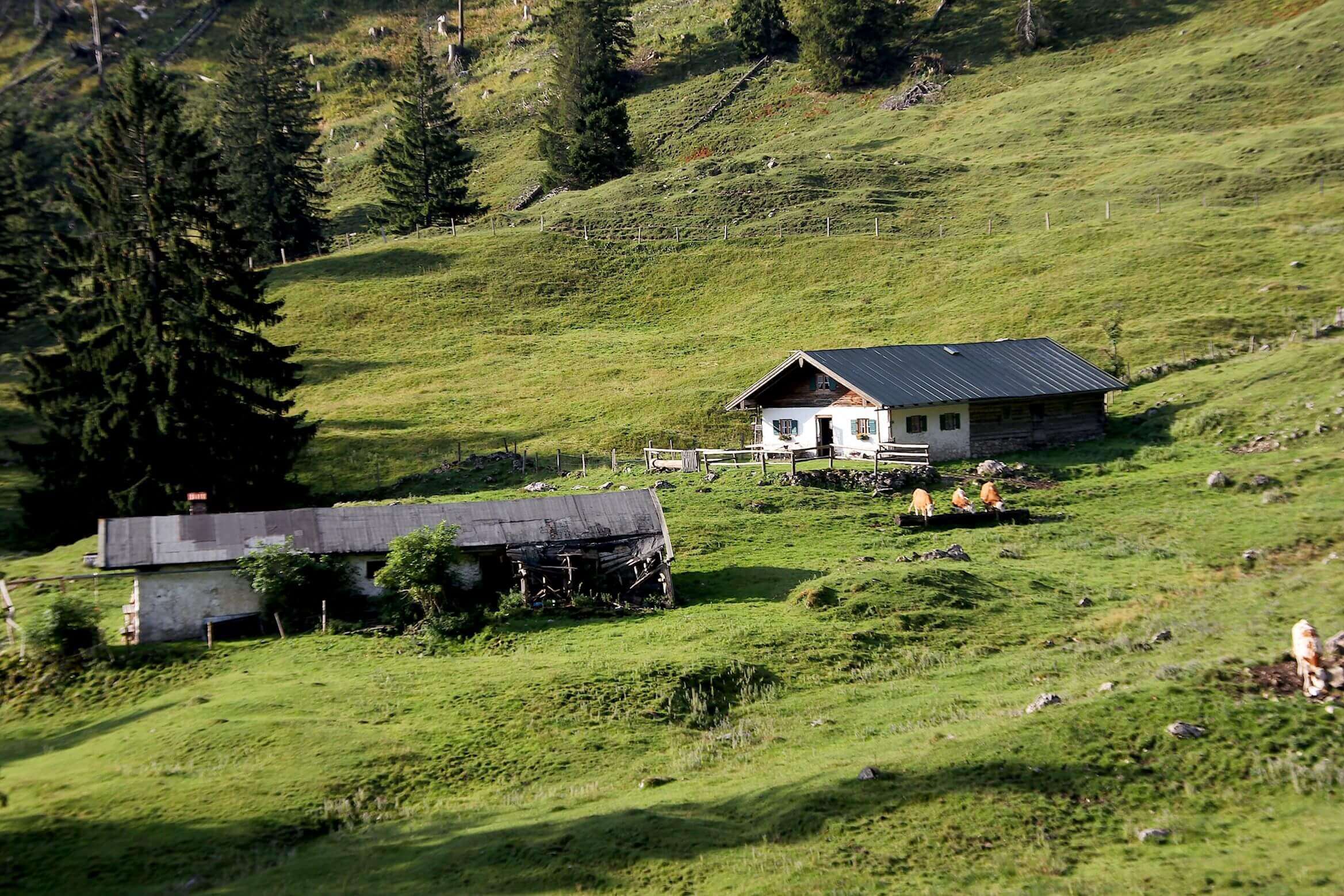 Ellandalm