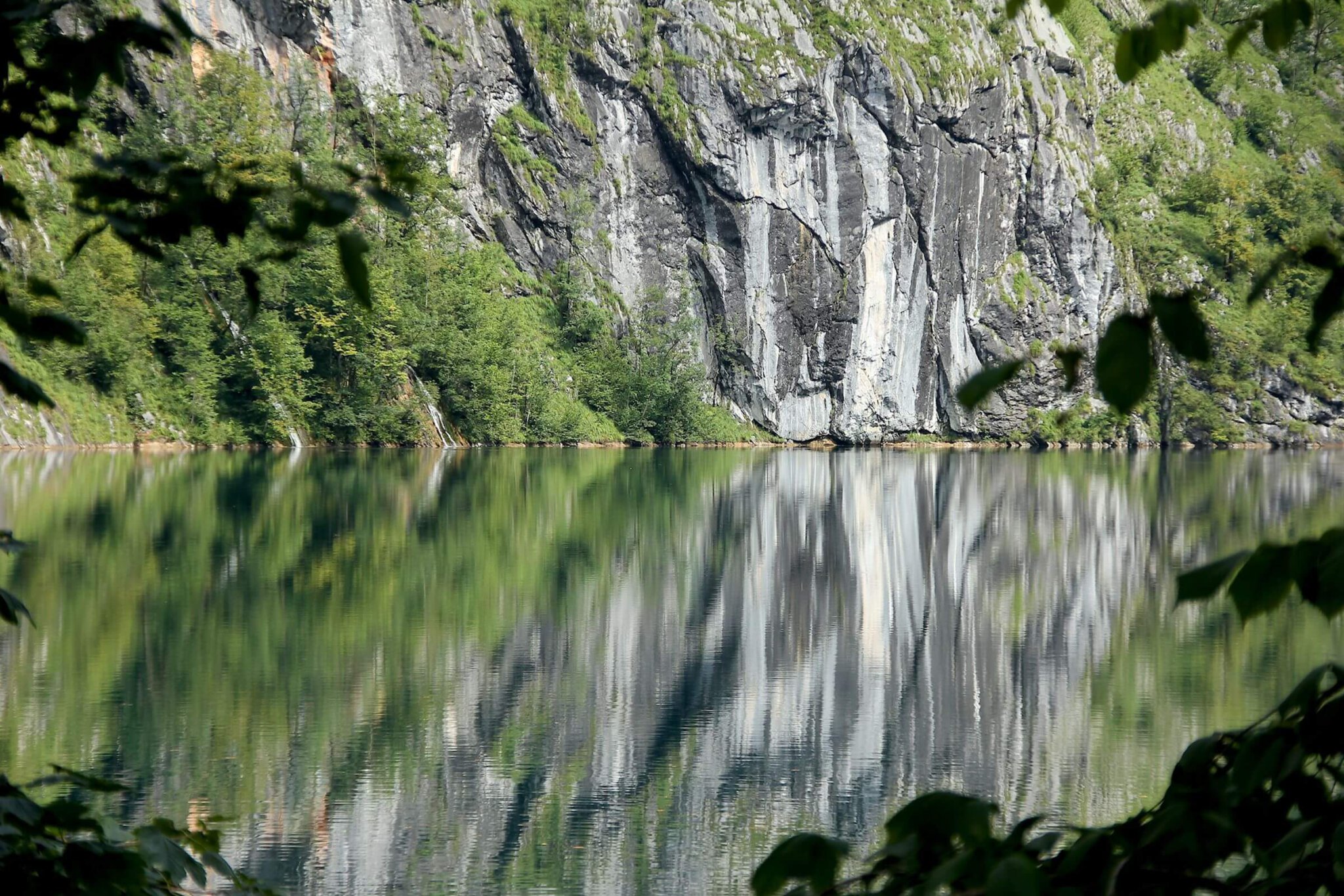 IMG_4092