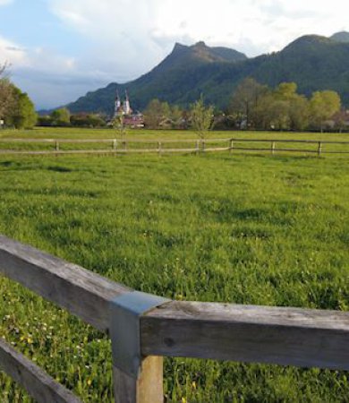 DJI_0666